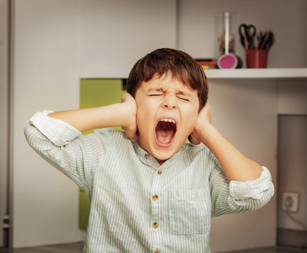 Sensory Processing Disorder